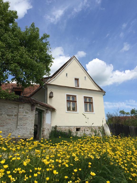 Dominic Boutique - Casa Mare Vendégház Miklóstelke Kültér fotó