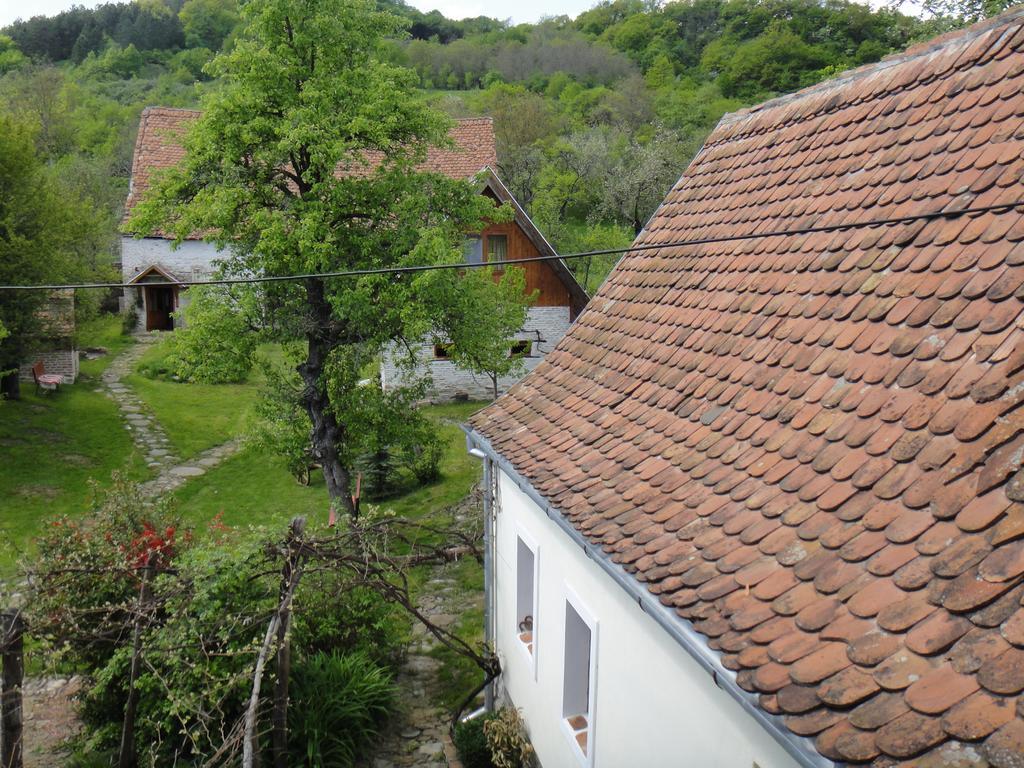 Dominic Boutique - Casa Mare Vendégház Miklóstelke Kültér fotó